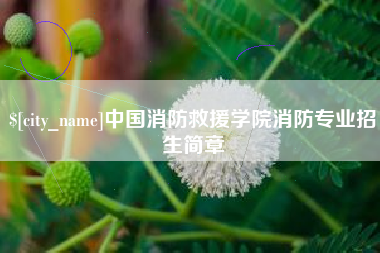 宁津中国消防救援学院消防专业招生简章