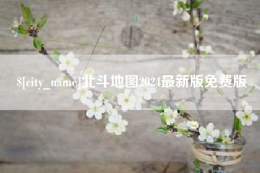 宁津北斗地图2024最新版免费版