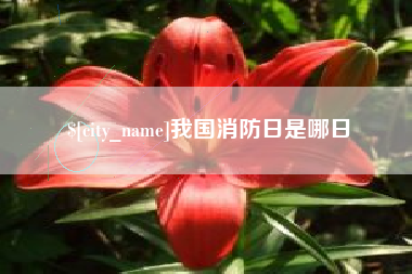 宁津我国消防日是哪日
