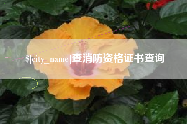 宁津查消防资格证书查询