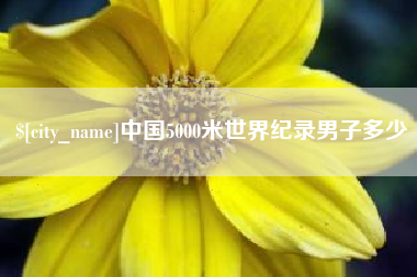 宁津中国5000米世界纪录男子多少