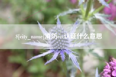 宁津消防ccc认证什么意思