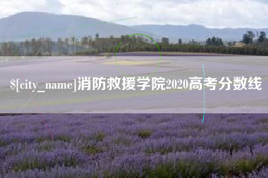 宁津消防救援学院2020高考分数线