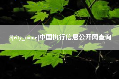 宁津中国执行信息公开网查询