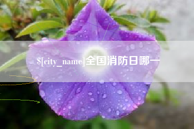 宁津全国消防日哪一