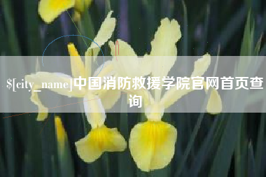 宁津中国消防救援学院官网首页查询