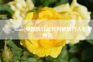 宁津中国执行公开网被执行人名单查询