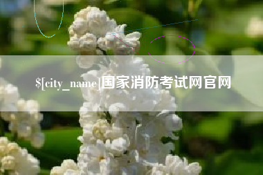 宁津国家消防考试网官网