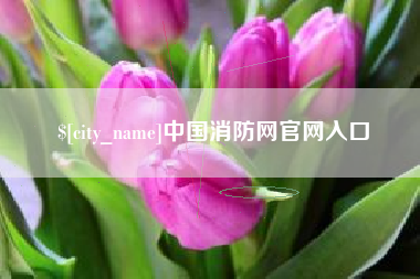 宁津中国消防网官网入口