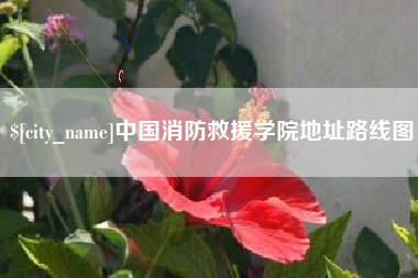 宁津中国消防救援学院地址路线图