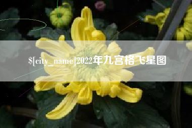 宁津2022年九宫格飞星图