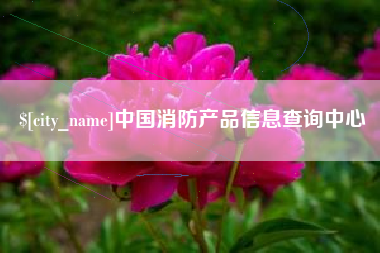 宁津中国消防产品信息查询中心