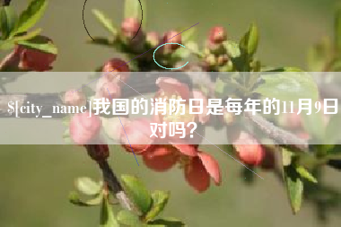 宁津我国的消防日是每年的11月9日对吗？