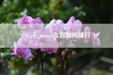宁津九宫如何排日