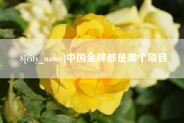 宁津中国金牌都是哪个项目