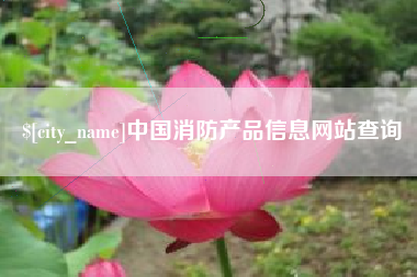 宁津中国消防产品信息网站查询