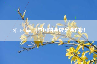 宁津中国的金牌是金的吗