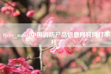 宁津中国消防产品信息网官网打不开了