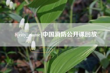 宁津中国消防公开课回放