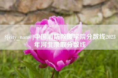 宁津中国消防救援学院分数线2023年河北录取分数线