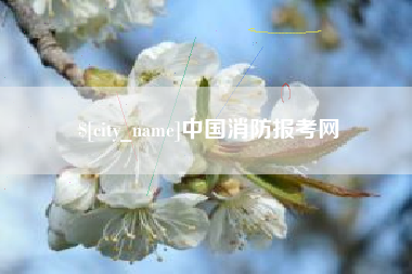 宁津中国消防报考网