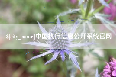 宁津中国执行信息公开系统官网