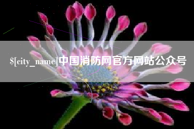 宁津中国消防网官方网站公众号