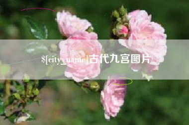 宁津古代九宫图片