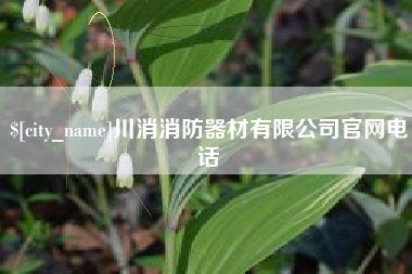 宁津川消消防器材有限公司官网电话
