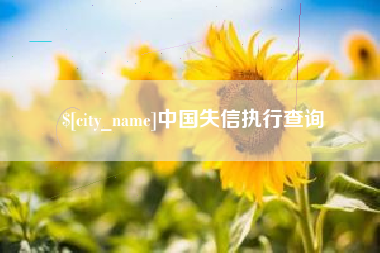 宁津中国失信执行查询