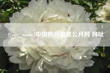 宁津中国执行信息公开网 网址