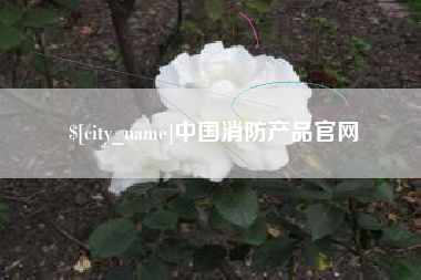 宁津中国消防产品官网
