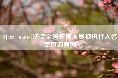 宁津法院全国失信人员被执行人名单查询官网
