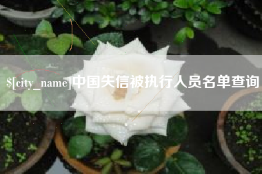 宁津中国失信被执行人员名单查询