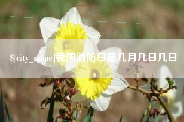 宁津我国消防日是几月几日几日