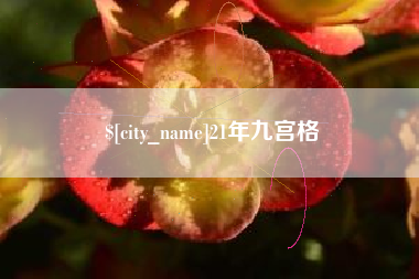 宁津21年九宫格