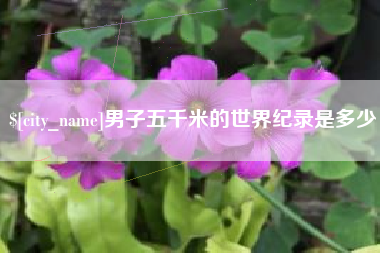 宁津男子五千米的世界纪录是多少