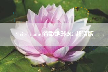 宁津谷歌地球2024超清版
