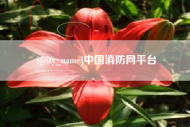 宁津中国消防网平台