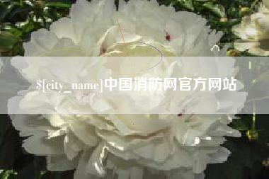宁津中国消防网官方网站