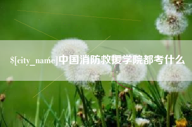 宁津中国消防救援学院都考什么