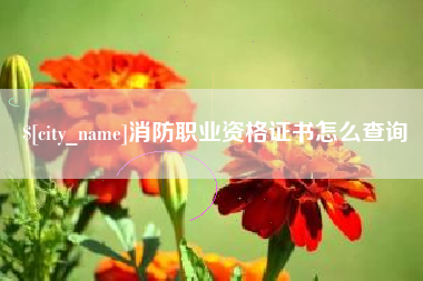 宁津消防职业资格证书怎么查询
