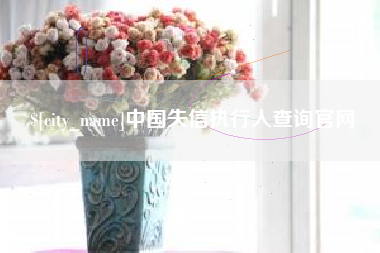 宁津中国失信执行人查询官网