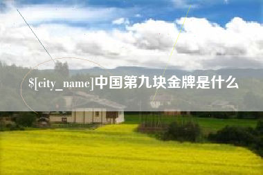 宁津中国第九块金牌是什么