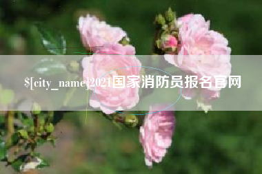 宁津2021国家消防员报名官网