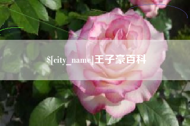 宁津王子豪百科