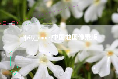 宁津中国地图像素版