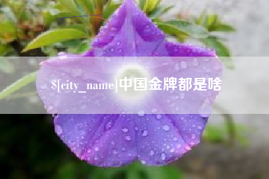 宁津中国金牌都是啥
