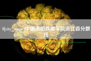 宁津中国消防救援学院浙江省分数线