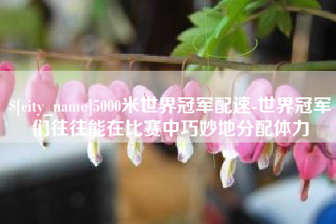 宁津5000米世界冠军配速-世界冠军们往往能在比赛中巧妙地分配体力